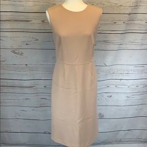 Ann Taylor Dress
